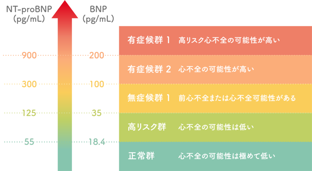 検査の数値とリスク